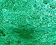 m/bg0336.jpg