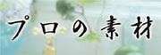 プロの素材