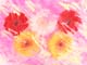 ʐ^fށ@fގT@2/AJ023_L.JPG