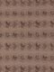 ʐ^fށ@fގT@2/AL116_L.JPG