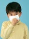 ʐ^fށ@fގT@2/AP187_L.JPG