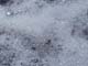 ʐ^fށ@fގT@2/AU158_L.JPG
