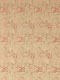 ʐ^fށ@fގT@2/CS035_L.JPG