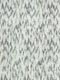 ʐ^fށ@fގT@2/CS072_L.JPG
