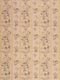 ʐ^fށ@fގT@2/CS148_L.JPG