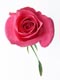 ʐ^fށ@fގT@2/DE018_L.JPG