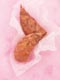 ʐ^fށ@fގT@2/DV117_L.JPG