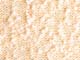 ʐ^fށ@fގT@2/SB123_L.JPG