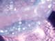 ʐ^fށ@fގT@2/SG163_L.JPG