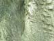 ʐ^fށ@fގT@2/SQ031_L.JPG