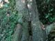 ʐ^fށ@fގT@2/SQ146_L.JPG