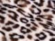 ʐ^fށ@fގT@2/ST178_L.JPG