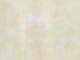 ʐ^fށ@fގT@2/SX050_L.JPG