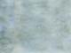 ʐ^fށ@fގT@2/SX097_L.JPG