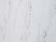 ʐ^fށ@fގT@2/SY129_L.JPG