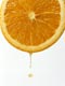 ʐ^fށ@fގT@2/EM141.JPG