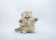 ʐ^fށ@fގT@2/FC164.JPG
