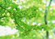 ʐ^fށ@fގT@2/FF117.JPG