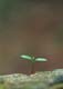 ʐ^fށ@fގT@2/FF170.JPG