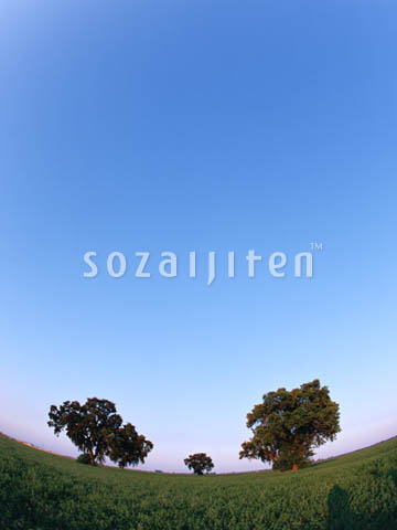 �f�ގ��TVol.129�q��̂��镗�i�ҁr