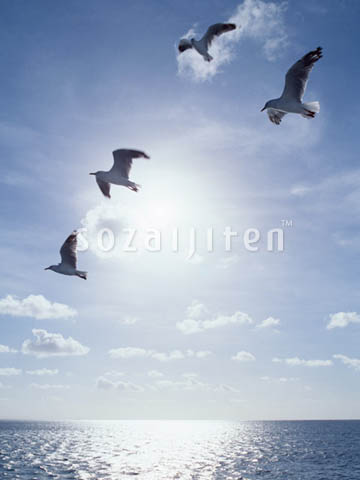�f�ގ��TVol.129�q��̂��镗�i�ҁr