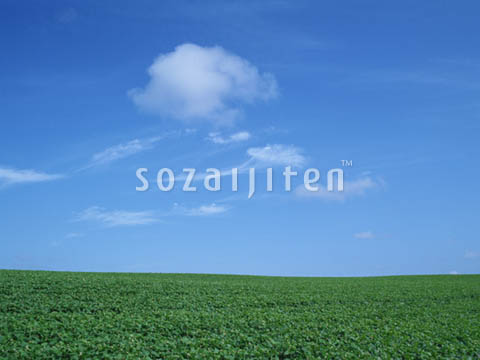 �f�ގ��TVol.129�q��̂��镗�i�ҁr