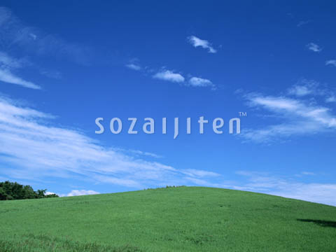�f�ގ��TVol.129�q��̂��镗�i�ҁr