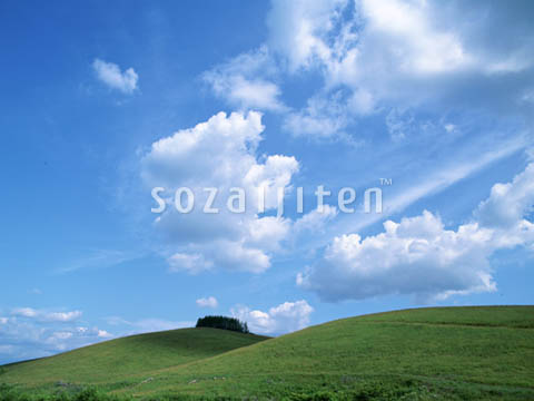 �f�ގ��TVol.129�q��̂��镗�i�ҁr