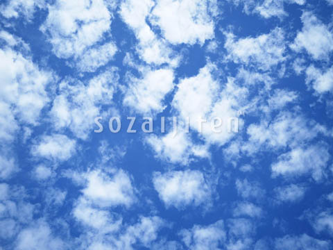 �f�ގ��TVol.129�q��̂��镗�i�ҁr