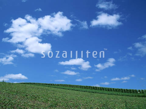 �f�ގ��TVol.129�q��̂��镗�i�ҁr