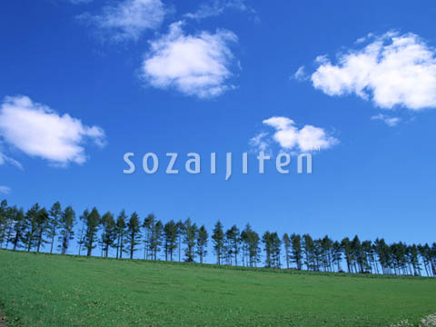 �f�ގ��TVol.129�q��̂��镗�i�ҁr