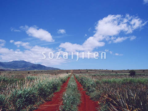�f�ގ��TVol.129�q��̂��镗�i�ҁr