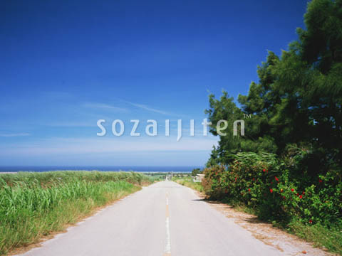 �f�ގ��TVol.129�q��̂��镗�i�ҁr