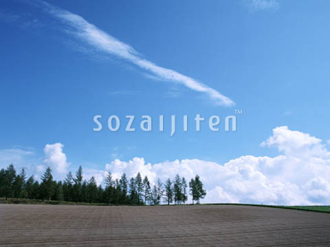 �f�ގ��TVol.129�q��̂��镗�i�ҁr