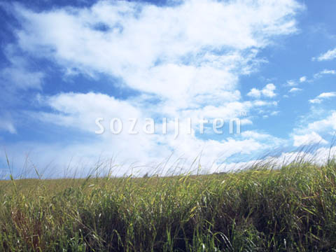 �f�ގ��TVol.129�q��̂��镗�i�ҁr