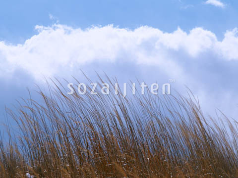 �f�ގ��TVol.129�q��̂��镗�i�ҁr