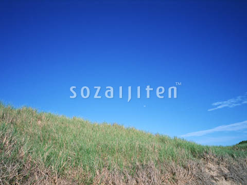 �f�ގ��TVol.129�q��̂��镗�i�ҁr