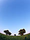 �f�ގ��TVol.129�q��̂��镗�i�ҁr�摜010