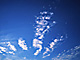 �f�ގ��TVol.129�q��̂��镗�i�ҁr�摜181