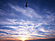 �f�ގ��TVol.129�q��̂��镗�i�ҁr�摜198