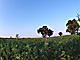 �f�ގ��TVol.129�q��̂��镗�i�ҁr�摜009