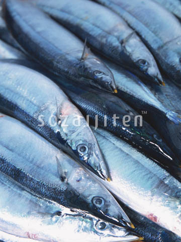 �f�ގ��TVol.131�q�{�̋���ށr
