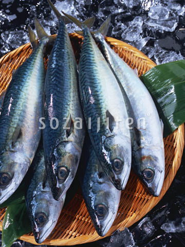 �f�ގ��TVol.131�q�{�̋���ށr
