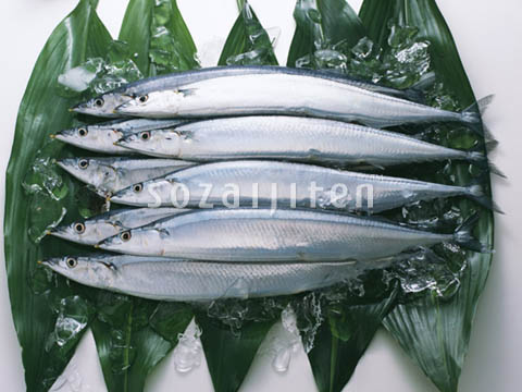 �f�ގ��TVol.131�q�{�̋���ށr