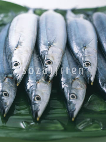 �f�ގ��TVol.131�q�{�̋���ށr
