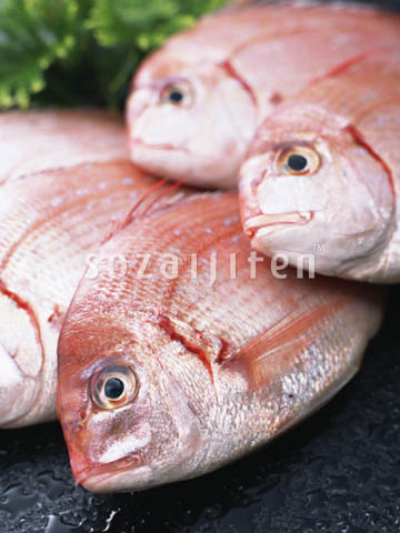 �f�ގ��TVol.131�q�{�̋���ށr