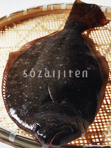 �f�ގ��TVol.131�q�{�̋���ށr