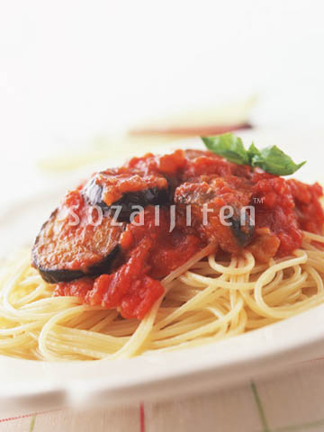 �f�ގ��TVol.132�q�p�X�^��s�U��T���_�ҁr