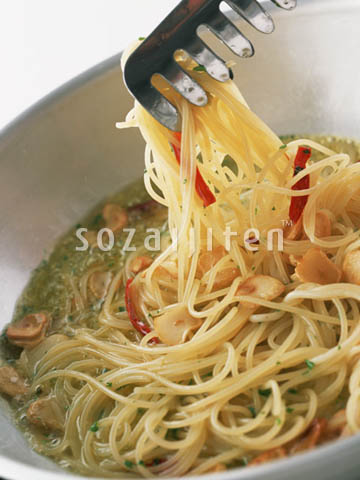 �f�ގ��TVol.132�q�p�X�^��s�U��T���_�ҁr