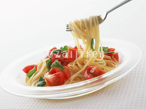 �f�ގ��TVol.132�q�p�X�^��s�U��T���_�ҁr